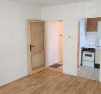 Interior of a 1-room apartment with a wooden decor floor and entrance to the kitchen.