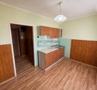 Kitchen area in a studio apartment with a wood-patterned floor and green walls.