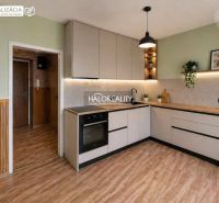 A kitchen with wood-patterned flooring and light-colored cabinets in a studio apartment.