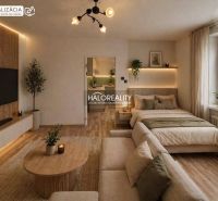 1-bedroom apartment with wood-patterned flooring, light, bed, sofa, decorations.