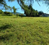 IMG_20250813_092319804_HDR.jpg