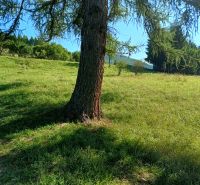 IMG_20250813_092251498_HDR.jpg