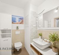 Bathroom in a 2-room apartment with a sink, toilet, and decorations.