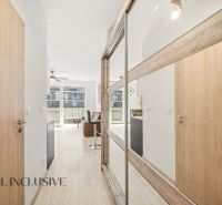 A hallway in a 2-room apartment with a wooden decor floor and a built-in wardrobe.