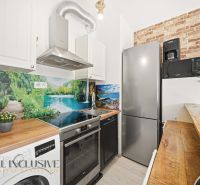 A kitchen in a 2-room apartment with a wooden decor floor and brick cladding on the wall.