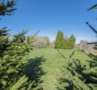 In Nitra, there is a cottage surrounded by a green lawn and coniferous trees.
