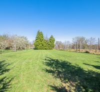 A grassy plot with fruit trees near a cottage in Nitra under sunny weather.