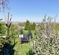 The garden of the cottage in Nitra with a trampoline surrounded by trees and flowers.