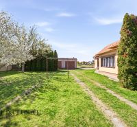 A family house in Vydrany, Dunajská Streda with a garden, flowers, and a garage in the background.