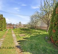 Family house in Vydrany, Dunajská Streda, garden with lawn, trees, and gravel path.