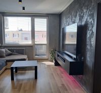 Living room in a two-room apartment with a wood-patterned floor and a large television.