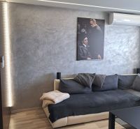 Living room with a sofa, gray cushions, and a wooden decor floor in a 2-room apartment.