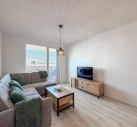 Living room in a two-room apartment with a large couch, television, and wooden-patterned flooring.