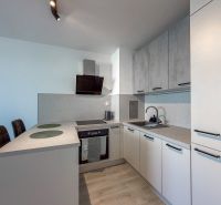 A bright kitchen in a 2-room apartment with modern appliances and a wooden decor floor.