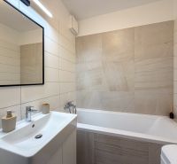 Elegant bathroom with a minimalist sink and bathtub in a 2-room apartment.