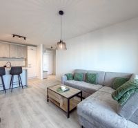 A bright living room with an open kitchen in a two-room apartment and a floor with a wooden decor.