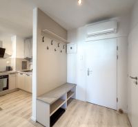 Interior of a 2-room apartment with a kitchen, hallway, and floor with a wooden decor.