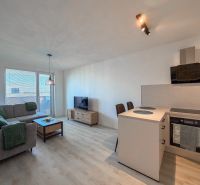Living room with kitchen in a 2-room apartment with a wooden decor floor.