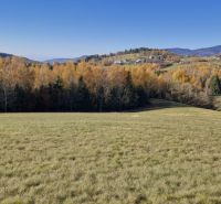 Autumn trees and meadow in Detvianska Huta suitable for residential land.