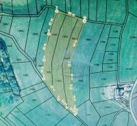 Map of residential plots in Detvianska Huta, showing the division of parcels.