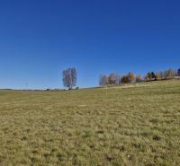 A spacious grassy plot for living in Detvianska Huta, with a solitary house in the background.