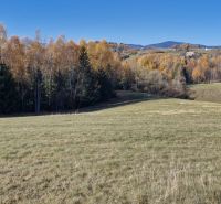 A residential plot in Detvianska Huta surrounded by greenery and forest, ideal for peaceful living.