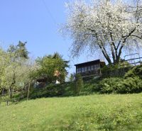 Blooming trees in the garden in Zvolen in spring under the blue sky.