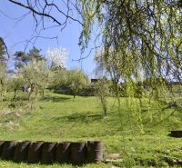 Gardens in Zvolen with blooming trees, a lawn, and people in the background.