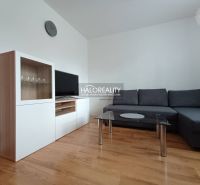 Living room in a two-room apartment with a wooden decor floor and a comfortable sofa.