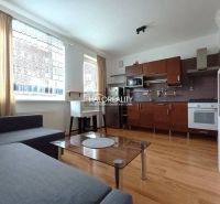 Living room with kitchen in a 2-room apartment, wooden decor flooring, light walls, gray sofa.