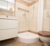 Bathroom with toilet, shower and sink, floor with wood decor.