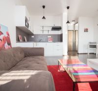 Living room with a sofa, kitchenette, and table in a studio apartment.