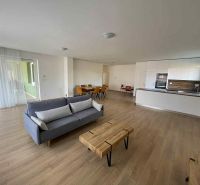Living room with wood-patterned flooring, kitchen, and sofa in a family house.