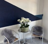 Two chairs with fur and a flower pot on the table in the office.
