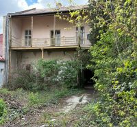 An overgrown building falls into the category of special properties in Komárno.