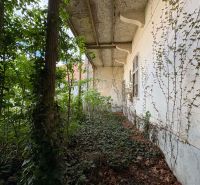 A covered veranda in Komárno overgrown with ivy, part of unusual properties.