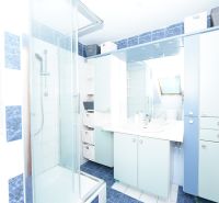 A bathroom in a family house with a glass shower enclosure, double sink, and blue tiles.