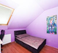 Purple wall, bed, painting, skylight, and desk in a family house.