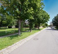 Trees along Kladnianska Street in Bratislava - Ružinov near family houses.