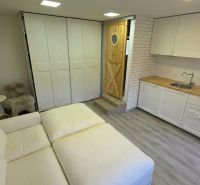 Living room in a family house with a sofa, kitchen unit, and floor with wooden decor.
