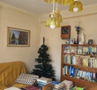 Interior of a family house with a bookshelf, a couch, a tree, and retro lights.