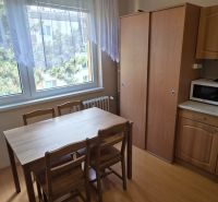 A kitchen in a one-room apartment with a wood-patterned floor, table, and cabinets.
