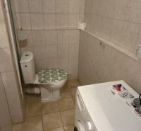 Bathroom with toilet and washing machine in a studio apartment.