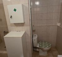 A bathroom in a studio apartment with a shower and toilet, surrounded by tiles.