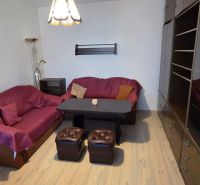 Living room in a studio apartment with a sofa, table, and wood-patterned flooring.