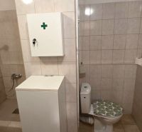 Bathroom with toilet and shower in a studio apartment, light tiles.