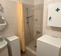 A bathroom with a shower and a washing machine in a studio apartment.