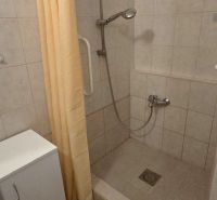 A bathroom with a simple shower and curtain in a studio apartment.