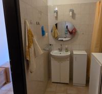 Bathroom in a studio apartment with a shower, sink, and mirror.