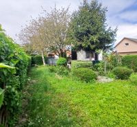 Gardens on Havrania Street in Hamuliakovo with dense bushes and trees.